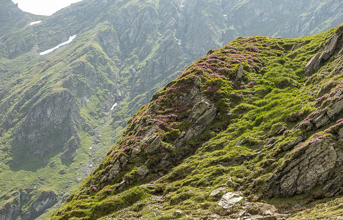 Munții Făgăraș (Făgăraș-Gebirge)