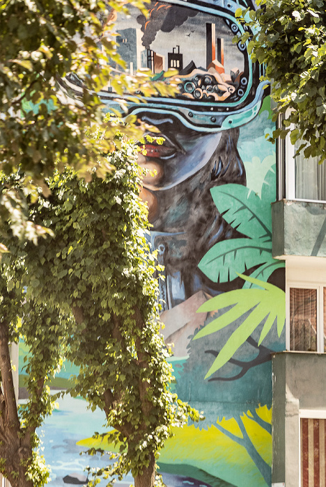 Strada Tăbăcari: Street Art Făgăraș
