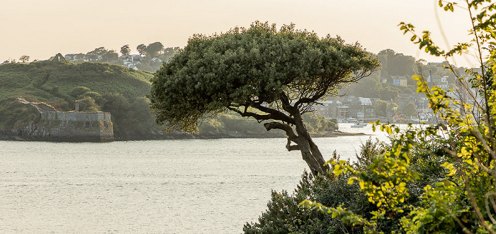 Kinsale