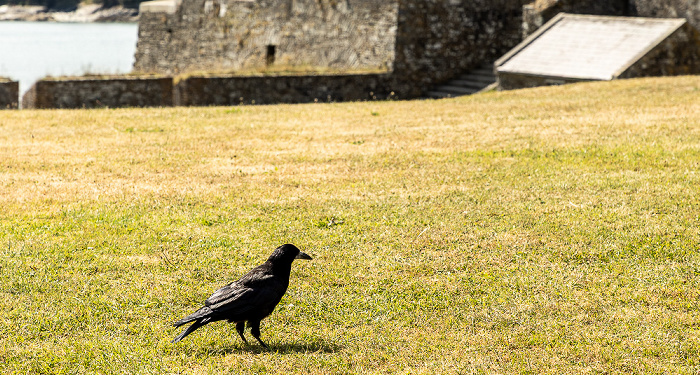 Charles Fort Kinsale