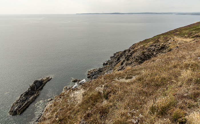 Old Head, Keltische See (Atlantik) County Cork