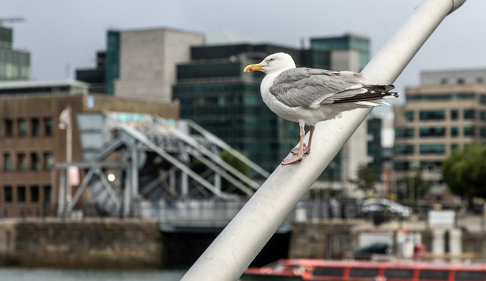 Dublin