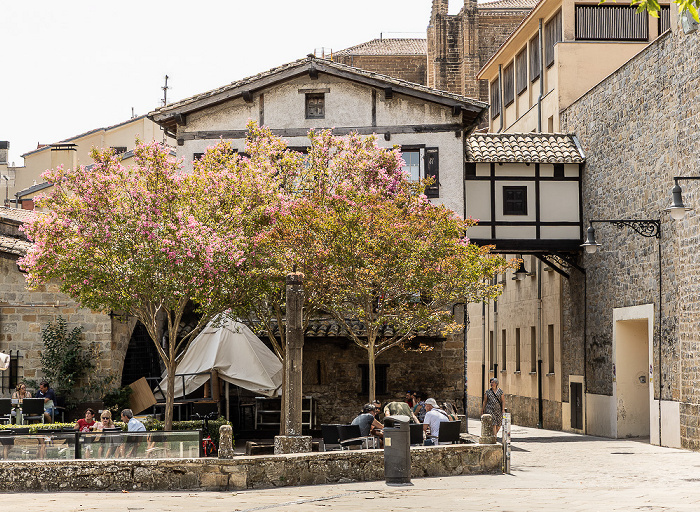 Paseo del Redín / Calle del Redín: Zaldi zuria Pamplona
