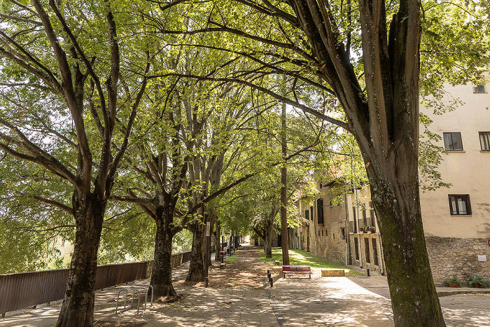 Paseo de Ronda Pamplona