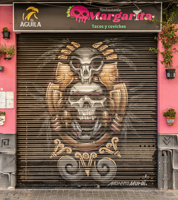 Calle Pintor Zariñena: Street Art Valencia