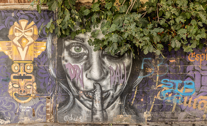 Calle de la Carda: Street Art Valencia