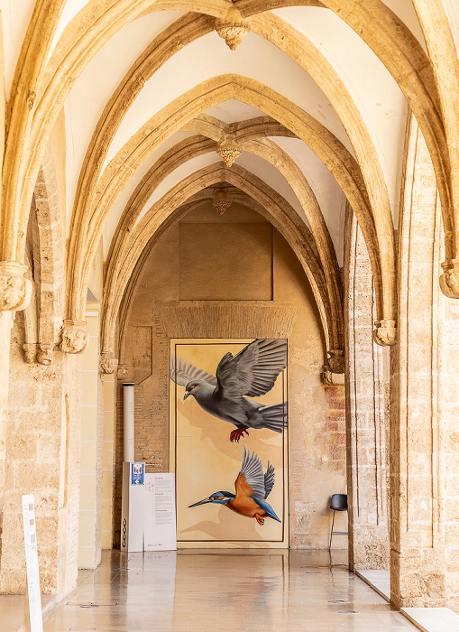 Centre del Carme de Cultura Contemporània: Street Art Valencia
