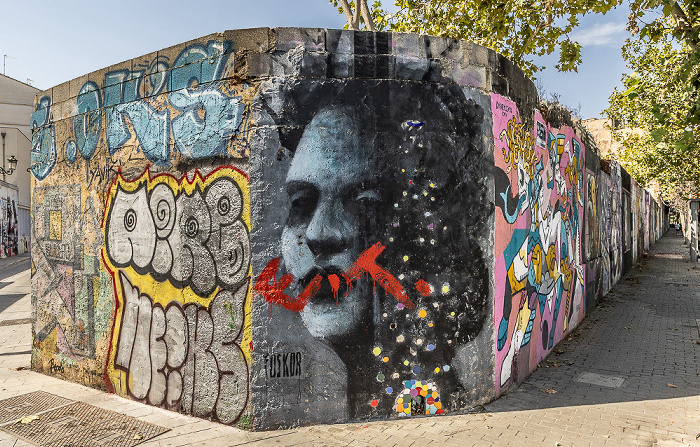 Calle de Liria / Calle de Guillem de Castro: Street Art Valencia
