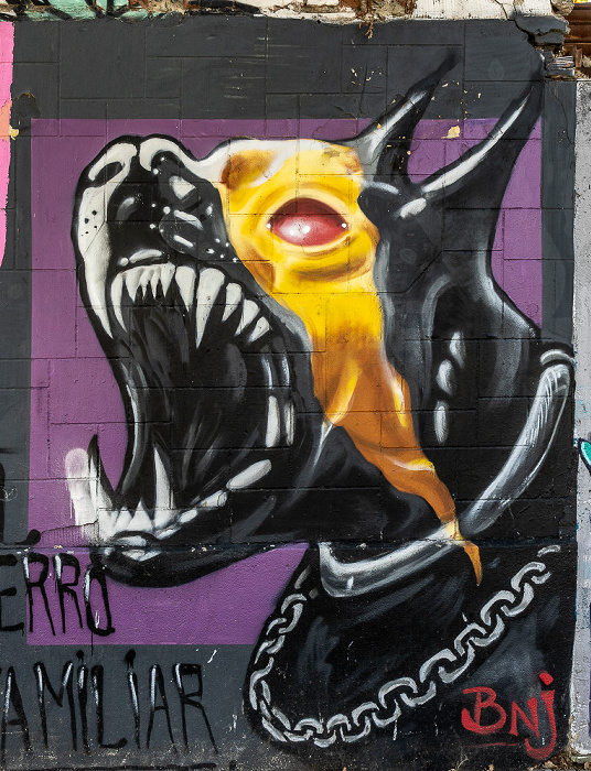 Calle de Guillem de Castro: Street Art Valencia