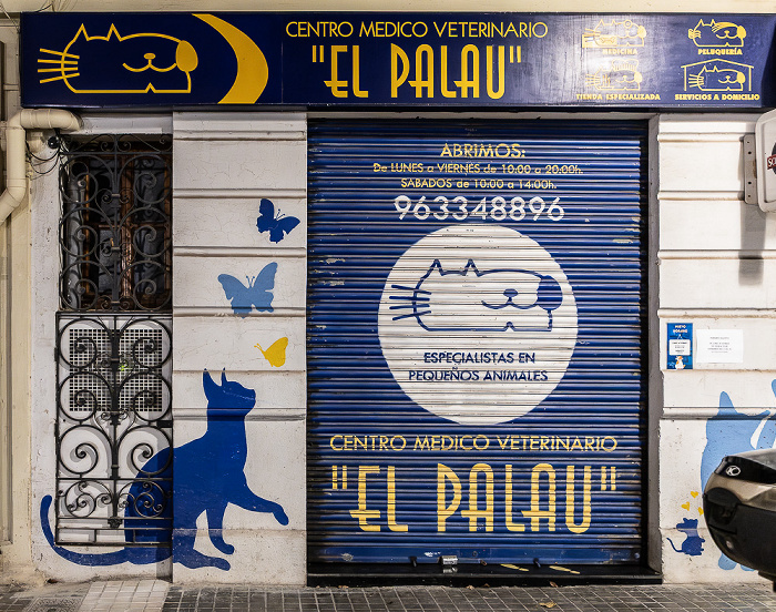 Calle Burriana: Street Art Valencia