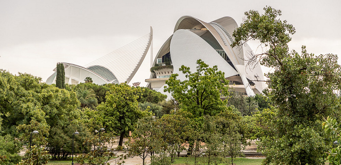 Ciutat de les Arts i les Ciències (v.r.): Palacio de las Artes Reina Sofía (Palau de les Arts Reina Sofía), Pont de l'Assut de l'Or, Ágora (CaixaForum), Museo de las Ciencias Príncipe Felipe (Prinz-Felipe-Wissenschaftsmuseum) Valencia