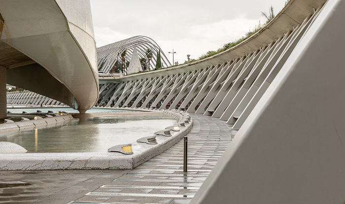 Ciutat de les Arts i les Ciències Valencia