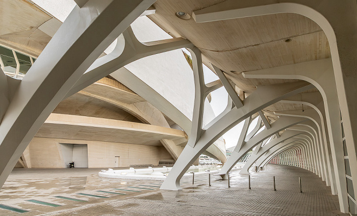 Ciutat de les Arts i les Ciències Valencia