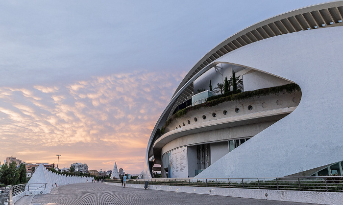 Ciutat de les Arts i les Ciències Valencia 2026