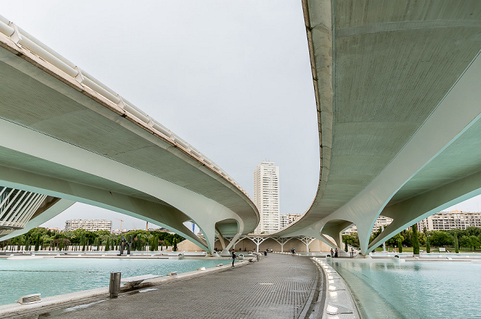 Ciutat de les Arts i les Ciències Valencia