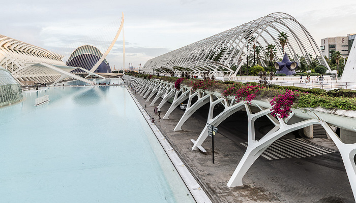 Ciutat de les Arts i les Ciències Valencia