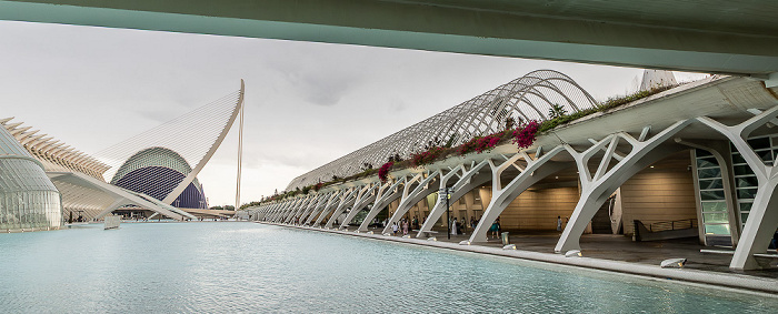 Ciutat de les Arts i les Ciències Valencia
