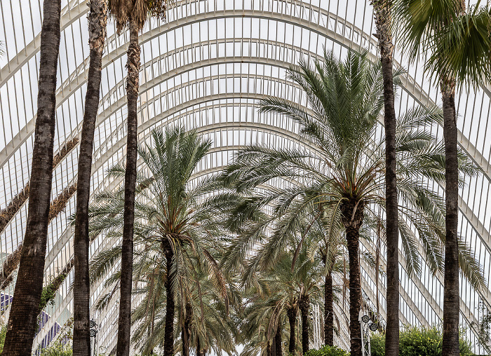 Ciutat de les Arts i les Ciències Valencia 2026