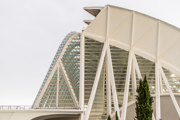 Ciutat de les Arts i les Ciències: Museo de las Ciencias Príncipe Felipe (Museu de les Ciències Príncep Felip) Valencia