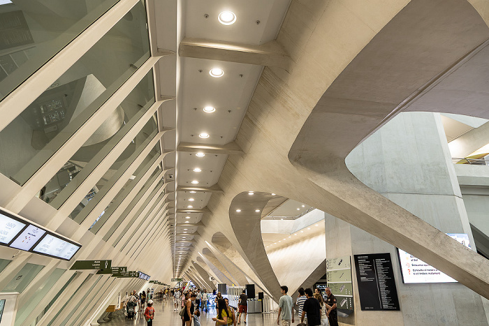 Ciutat de les Arts i les Ciències: Museo de las Ciencias Príncipe Felipe (Museu de les Ciències Príncep Felip) Valencia