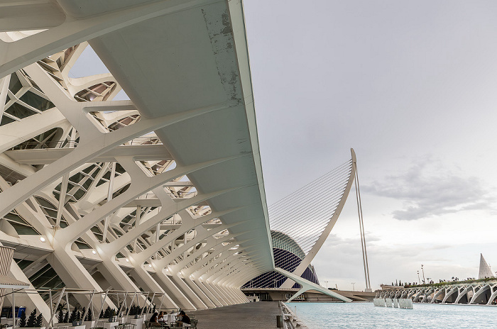 Ciutat de les Arts i les Ciències Valencia