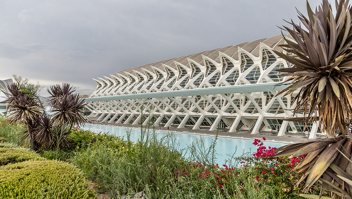 Ciutat de les Arts i les Ciències Valencia 2026