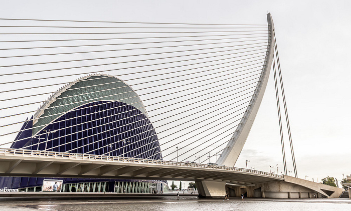 Ciutat de les Arts i les Ciències Valencia