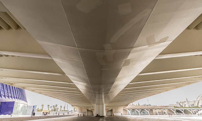 Ciutat de les Arts i les Ciències Valencia