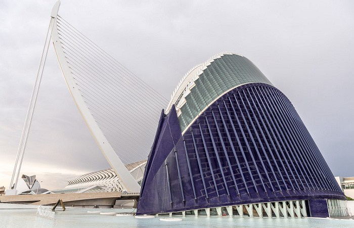 Ciutat de les Arts i les Ciències: Pont de l'Assut de l'Or,  Ágora (CaixaForum) Valencia