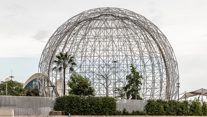 Ciutat de les Arts i les Ciències Valencia 2026