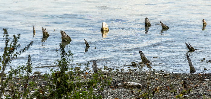 Blick von der Roseninsel: Starnberger See mit Pfahlbausiedlung Roseninsel Feldafing