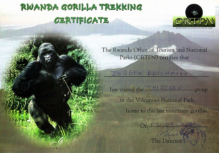 Ruanda Gorilla Trekking Zertifikat Virunga-Vulkane